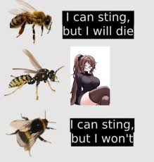 rExplainTheJoke