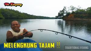 Ikan kakap putih bertelur setelah bulan purnama dan bulan baru. Cara Terbaik Mancing Kakap Putih Saat Musim Hujan Youtube
