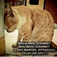 Salah Gw Apa Cartoon Jokes Lucu Meme Kucing