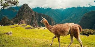 Along peru's west coast is a narrow strip of desert 1,555 miles (2,500. Work And Travel In Peru Als Backpacker Work Travel In Peru Machen