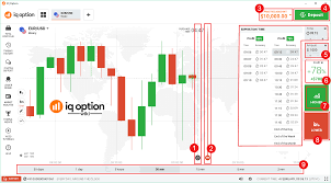 beginners guide to the iq option trading interface iq