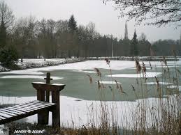 La Sologne En Hiver Le Jardinoscope Toute La Flore Et La Faune De Nos Parcs Et Jardins Paysage De Sologne Sologne Paysage