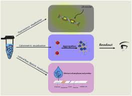 Visual Detection For Nucleic Acid Based Techniques As Potential On Site Detection Methods A Review Sciencedirect