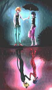 Well a ladybug is the insects in the coccinellidae family of the beetle order coleoptera. Anime Ladybug And Cat Noir Wallpapers Wallpaper Cave