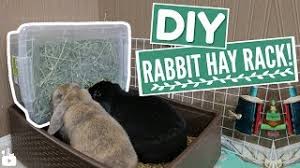 Lift your spirits with funny jokes, trending memes, entertaining gifs, inspiring stories, viral videos, and so much more. Diy Rabbit Hay Box Small Pet Hay Rack Youtube