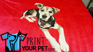 Before printing the custom blanket, we turn your special photo into a unique work of art! Print Your Pet Custom Fleece Blanket Unboxing Review Printyourpet Com Youtube