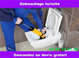 Pin By Debouchage Canalisation On Toilette Bouchees Probleme D Egouts Canalisations Bouchees Leplessis Robinson Home Appliances Vacuum Cleaner Vacuums
