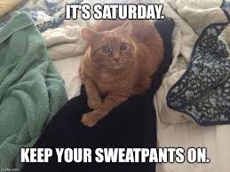 Cat memes are always in style. Caturday Plans Imgflip