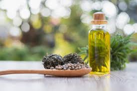 What Are the Benefits of Hemp Seed Oil? - Dresdner Essence