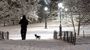 No one covers new york weather and the surrounding area like abc7. Nyc Weather Fast Moving Storm Dumps 5 Inches On Central Park Amnewyork