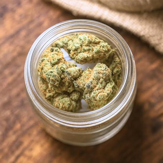 Pochon hermetique de fleur White Widow CBD certifie conforme au taux de THC legal