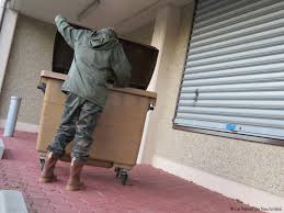 « les poubelles de mon restaurant sont renversées et fouillées chaque semaine, ça donne beaucoup de la fouille des poubelles et l'extraction de leurs contenu est un dérivé sur la propriété. Ils Doivent Fouiller Les Poubelles Pour Manger Le Reveil De Neufchatel