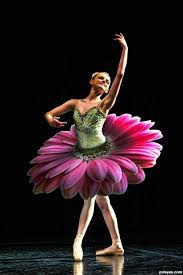 Samieballerina Itsalwaysbreezy Beautiful Flower Tutu Saw This On Fb Arlier Ballet Costumes Ballet Dancers Dance Photography