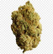 Download Ew Marijuana Leaf Transparent Background 13 Weed Leaf Medical Marijuana Png Free Png Images Toppng