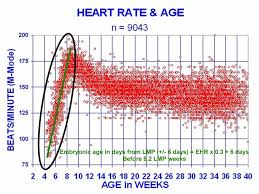 file ehr bbii jpg wikimedia commons