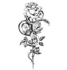 Maybe you would like to learn more about one of these? Snake Rose Vector Images Over 480