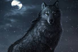 Find and download anime wolf wallpapers wallpapers, total 24 desktop background. 92 Anime Wolves Wallpapers On Wallpapersafari