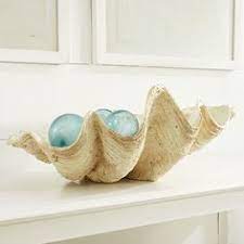 Maybe you would like to learn more about one of these? 20 Clam Shell Ideas Clam Shell Shell Decor Coastal Decor