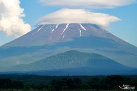 Japan S Suicide Forest Aokigahara Offbeat Japan