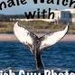The Fish Guy talks: Whale Watching! event image
