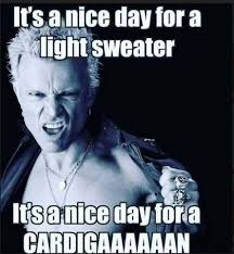 Pin By Coreydina On Words Of Wisdom Kindness And A Touch Of Sarcasm Morning Humor Funny Funny Quotes