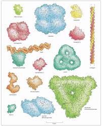 Pin On Inflazome Protein Illustrations