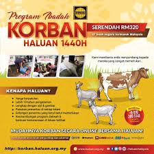 Cara sembelihan lembu korban menggunakan teknologi moden. Pendaftaran Ibadah Korban Haluan 1440h Kini Dibuka Haluan
