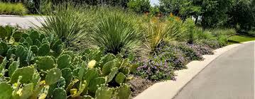 Check spelling or type a new query. Xeriscape The Art Of Water Wise Landscaping Woodlake Outdoor Dallas Austin Landscape Contractor