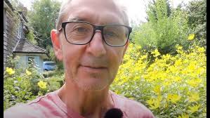 An underappreciated flower, much loved by hoverflies and smaller bees:  Forget-me-not