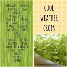 Best plants for a tropical look in cold climates. 20 Cool Weather Crops To Start Right Now Preparednessmama