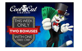 No several consecutive free bonuses are allowed. Cool Cat Casino Bonus Codes 2020 Nabble Casino Bingo Casino Bonus Casino Best Online Casino