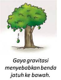 Contoh Gaya Gravitasi Dalam Kehidupan Sehari Hari Barisan Contoh