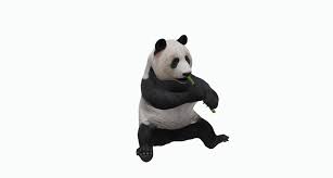 Complete List Google Ar 3d Animals Objects More 2021