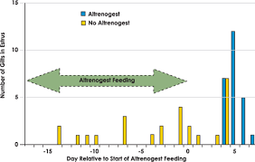 Using Artificial Insemination In Swine Production Detecting