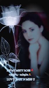 Did Misty's Bird Die