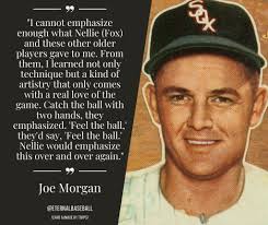 Nellie grew up enamored with baseball, and Fox would later say, “No one  liked playing baseball more than me.” Nellie's mother recognized his  potential. She wrote an introduction letter to a Major