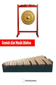 Alat musik ini terbagi lagi menjadi 4 bagian yaitu: Alat Musik Pengertian Sejarah Fungsi Dan Contohnya