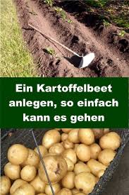 Kartoffelbeet Anlegen Gartenbob De Der Garten Ratgeber Kartoffeln Pflanzen Kartoffeln Anbauen Kartoffeln Wachsen
