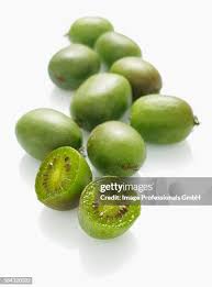 Image result for foto minikiwi