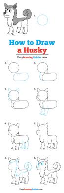 I hope that these easy drawings may be of help so that you can draw your. How To Draw A Husky Really Easy Drawing Tutorial