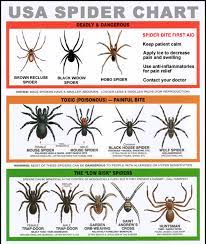 The toxin of the female black widow spider is multiple times. U S Poisonous Spiders Black Widow Brown Recluse Hobo Dengarden