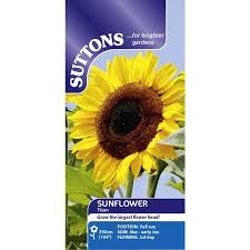 Growing sunflowers in the garden is as traditional as it comes for children. Sunflower Seeds Titan Suttons