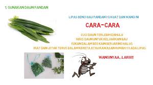 Cara perangkap lipas dalam kereta. Perangkap Lipas Cicak Terbaik Ø§Ù„ØµÙØ­Ø© Ø§Ù„Ø±Ø¦ÙŠØ³ÙŠØ© ÙÙŠØ³Ø¨ÙˆÙƒ