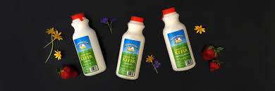 The best probiotics supplements are vegetarian and gluten free, and in this list of best probiotic brands you can be assured that only the best. Probiotics Archives Kimberton Whole Foods