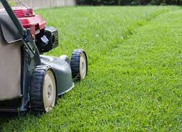 The Best Things You Can Do For Your Yard This Fall Lawn Care Tips Lawn Care Grass Clippings