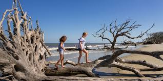 10 Quiet East Coast Beach Towns For A Perfect Vacation Family Vacation Critic We'll help you find fun things to do and the best places to stay in preparation when considering destinations for island vacations, the caribbean automatically comes to mind.