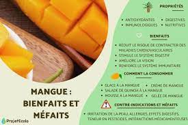MANGUE : BIENFAITS ET MÉFAITS - Guide complet des vertus de la mangue. Avec  PHOTO dune MANGUE !