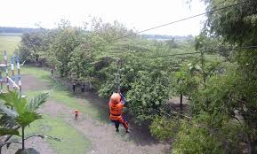 Biaya perorangan ke alas prambon : Alas Prambon Outbound Sidoarjo 0857 3253 4222 Alas Outbound Prambon Sidoarjo Surabaya Game Edukasi