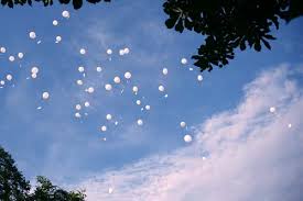 We did not find results for: Ballonkarten Fur Ihre Hochzeit Drucken Lassen