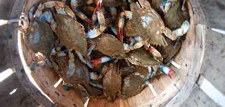 It depends on whether the crabs are light or heavy. Crab Bushel Baskets Lids Crabsman